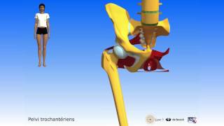 Apprendre lanatomie grâce à la 3D [upl. by Kenaz]